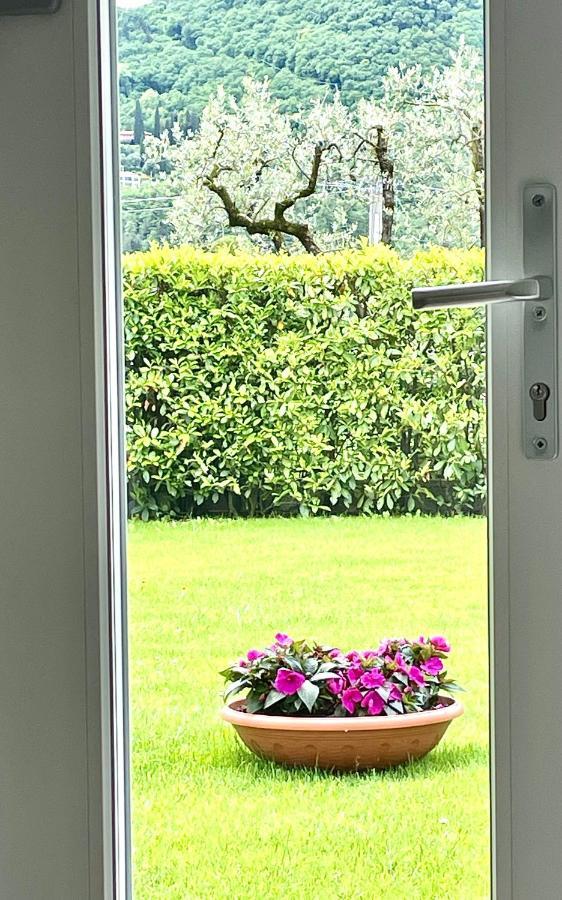 Guest Martilla Luxury & Garden 외부 사진